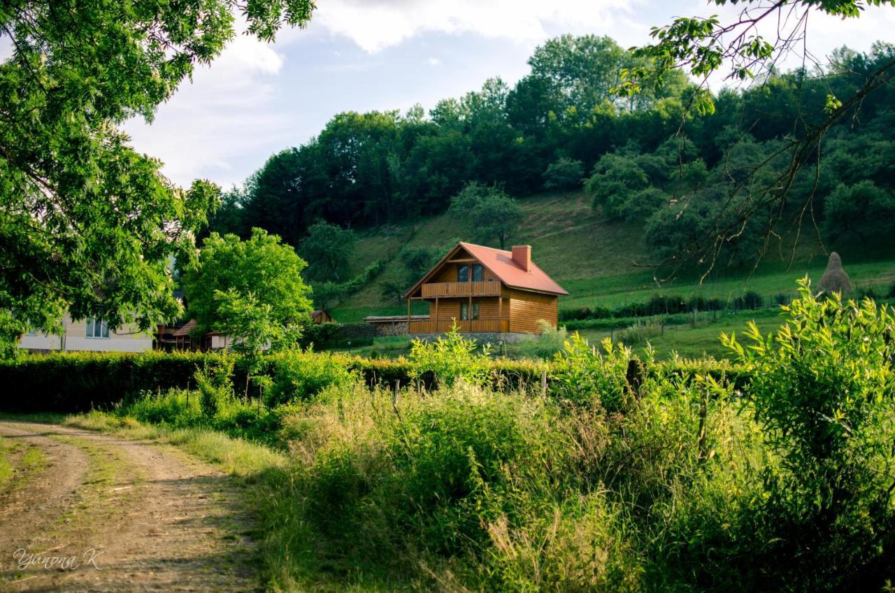 Sadiba Liskovec Villa Dubrinich na Beregu Dış mekan fotoğraf