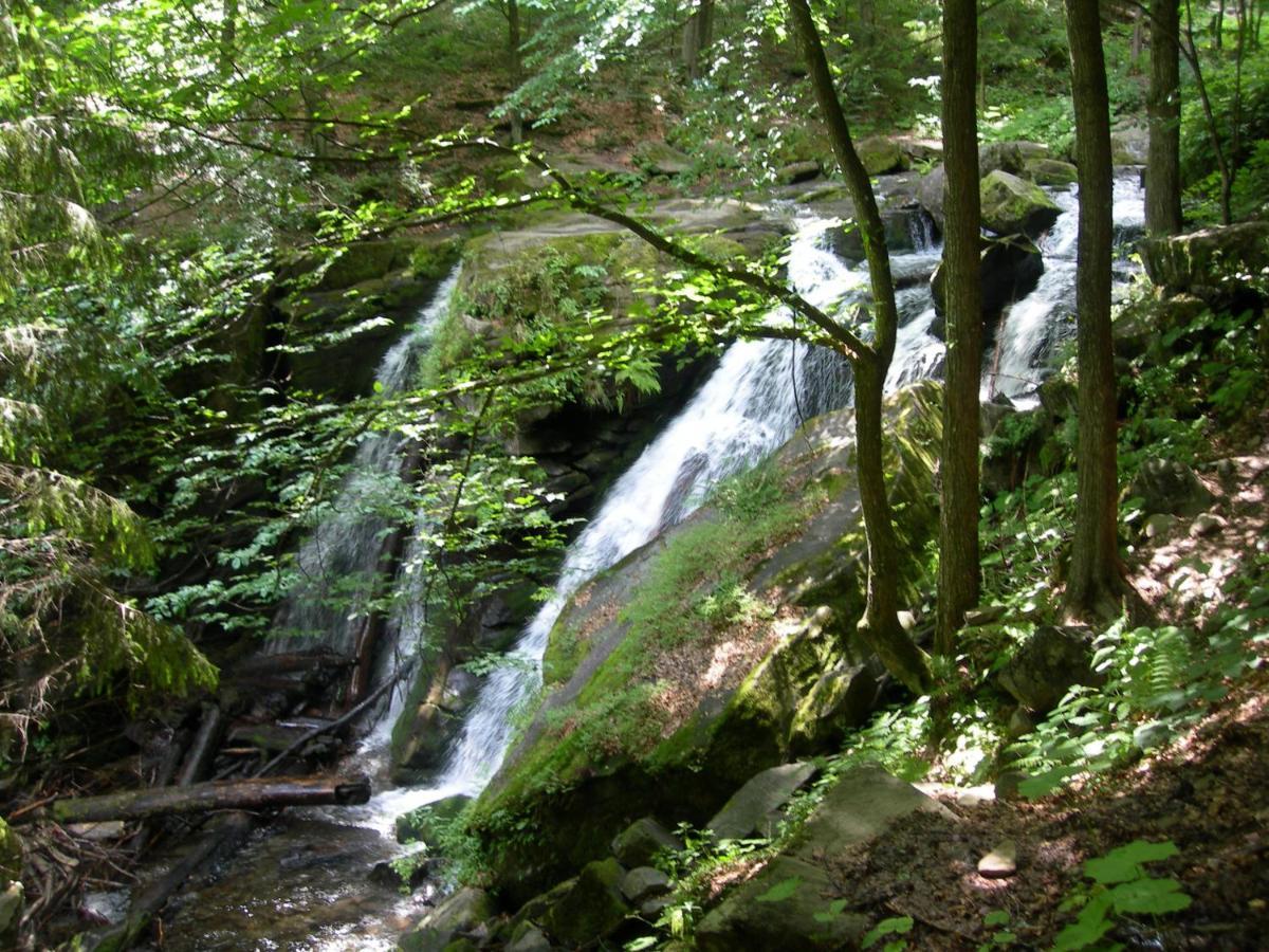 Sadiba Liskovec Villa Dubrinich na Beregu Dış mekan fotoğraf