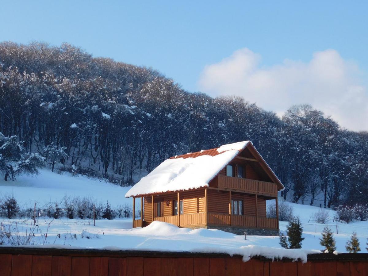 Sadiba Liskovec Villa Dubrinich na Beregu Dış mekan fotoğraf