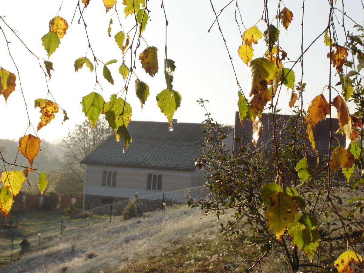 Sadiba Liskovec Villa Dubrinich na Beregu Dış mekan fotoğraf