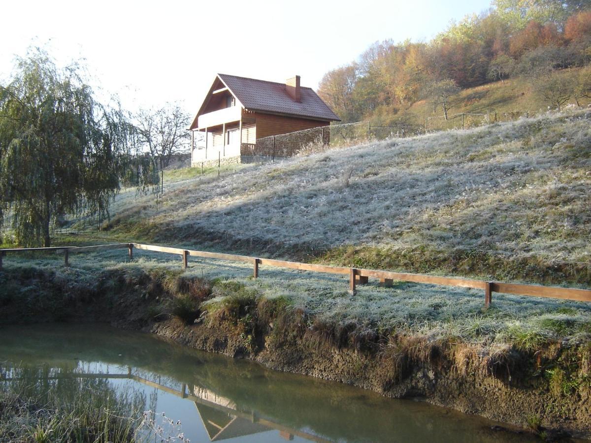 Sadiba Liskovec Villa Dubrinich na Beregu Dış mekan fotoğraf