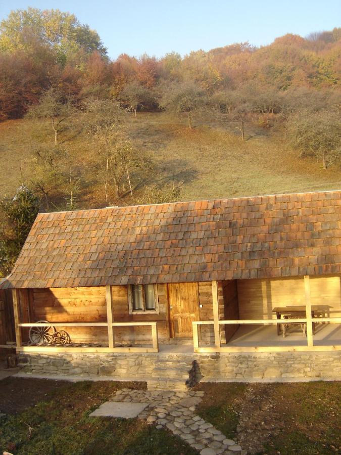 Sadiba Liskovec Villa Dubrinich na Beregu Dış mekan fotoğraf