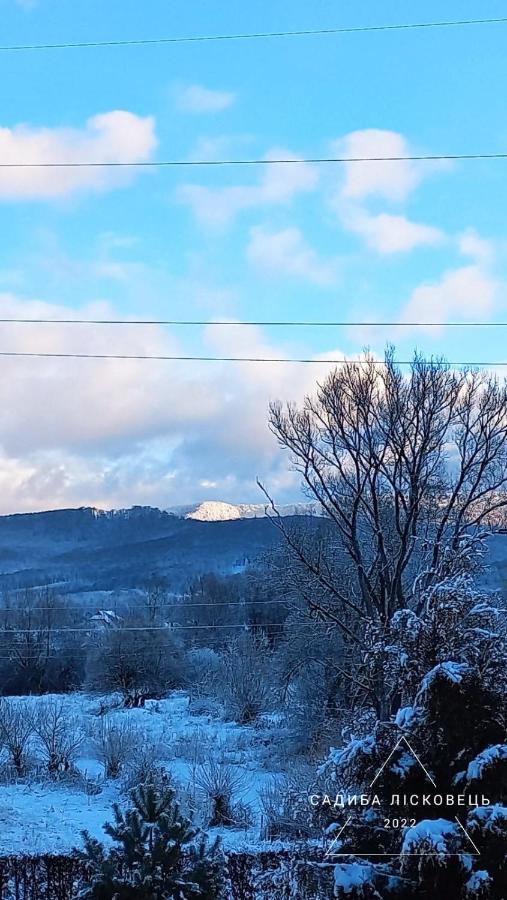 Sadiba Liskovec Villa Dubrinich na Beregu Dış mekan fotoğraf