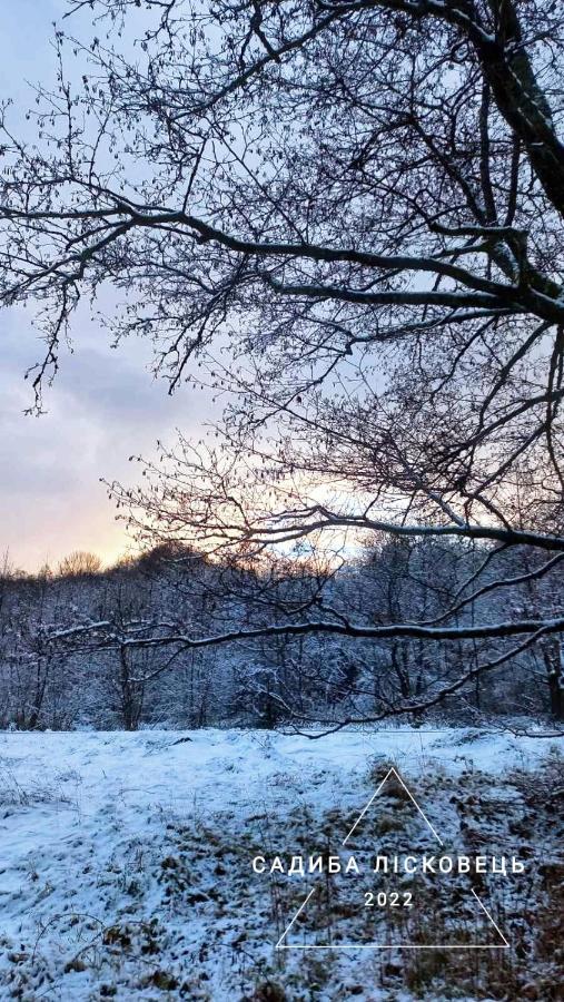 Sadiba Liskovec Villa Dubrinich na Beregu Dış mekan fotoğraf