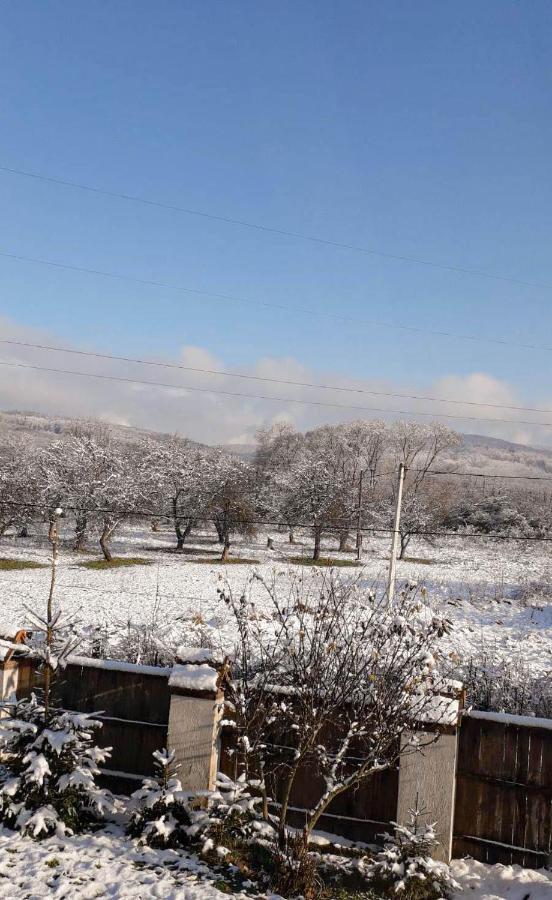 Sadiba Liskovec Villa Dubrinich na Beregu Dış mekan fotoğraf